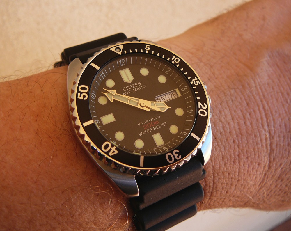 nice-citizen-diver